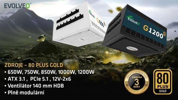 EVOLVEO G650, zdroj 650W, ATX3.1, 14cm, aPFC, 80 + GOLD, 3YRW 