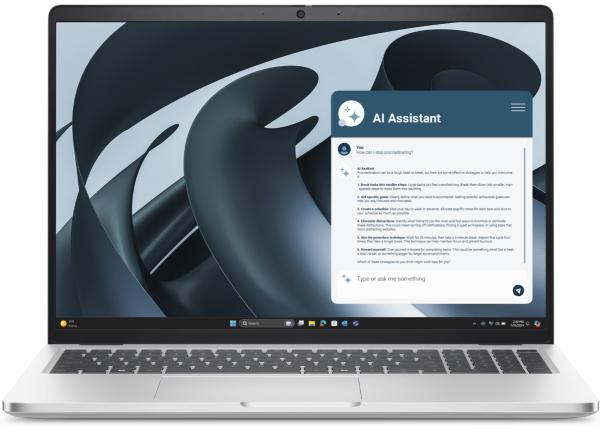 Dell Pro 16 Plus/ PB16255/ R5-220/ 16"/ WUXGA/ 16GB/ 256GB/ AMD int/ W11P/ Silver/ 3R NBD 