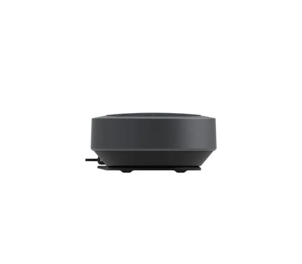 iiyama - mic and speaker 