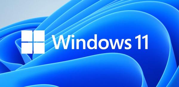 MS Windows 11 Professional GGK 64-bit CZ 1pk OEM DVD leg 