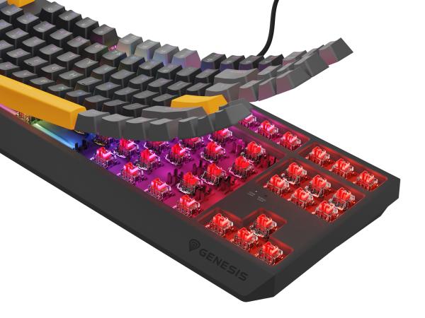 Genesis herná klávesnica THOR 230/ TKL/ RGB/ Outemu Red/ Drôtová USB/ US layout/ Anchor Positive Šedá 