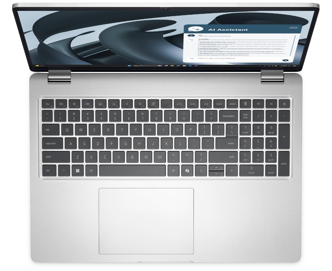 Dell Pro 16 Plus/ PB16255/ R5-220/ 16"/ WUXGA/ 16GB/ 256GB/ AMD int/ W11P/ Silver/ 3R NBD 