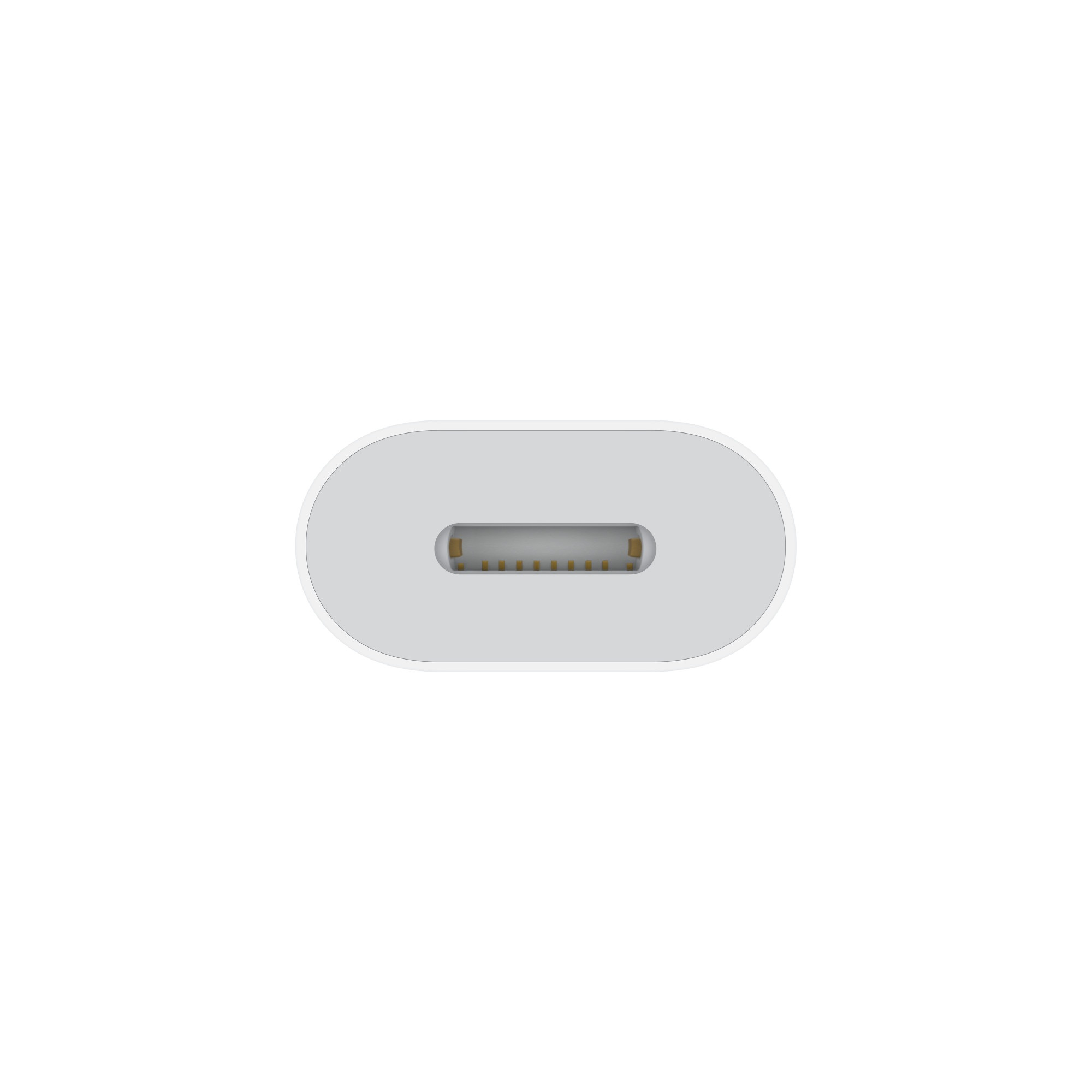 USB-C to Lightning Adapter 