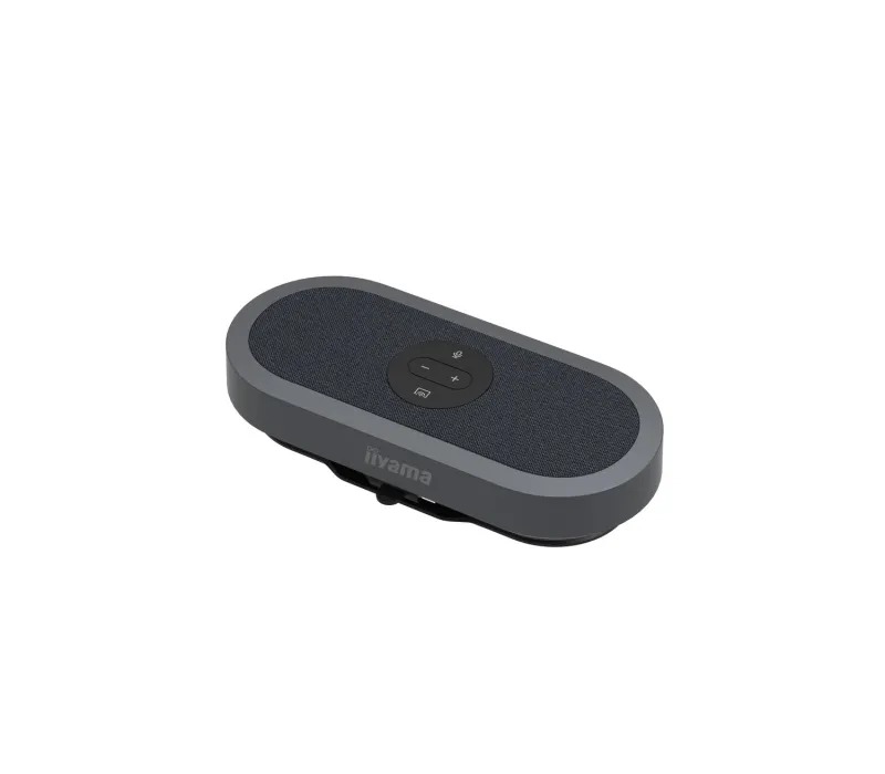 iiyama - mic and speaker 