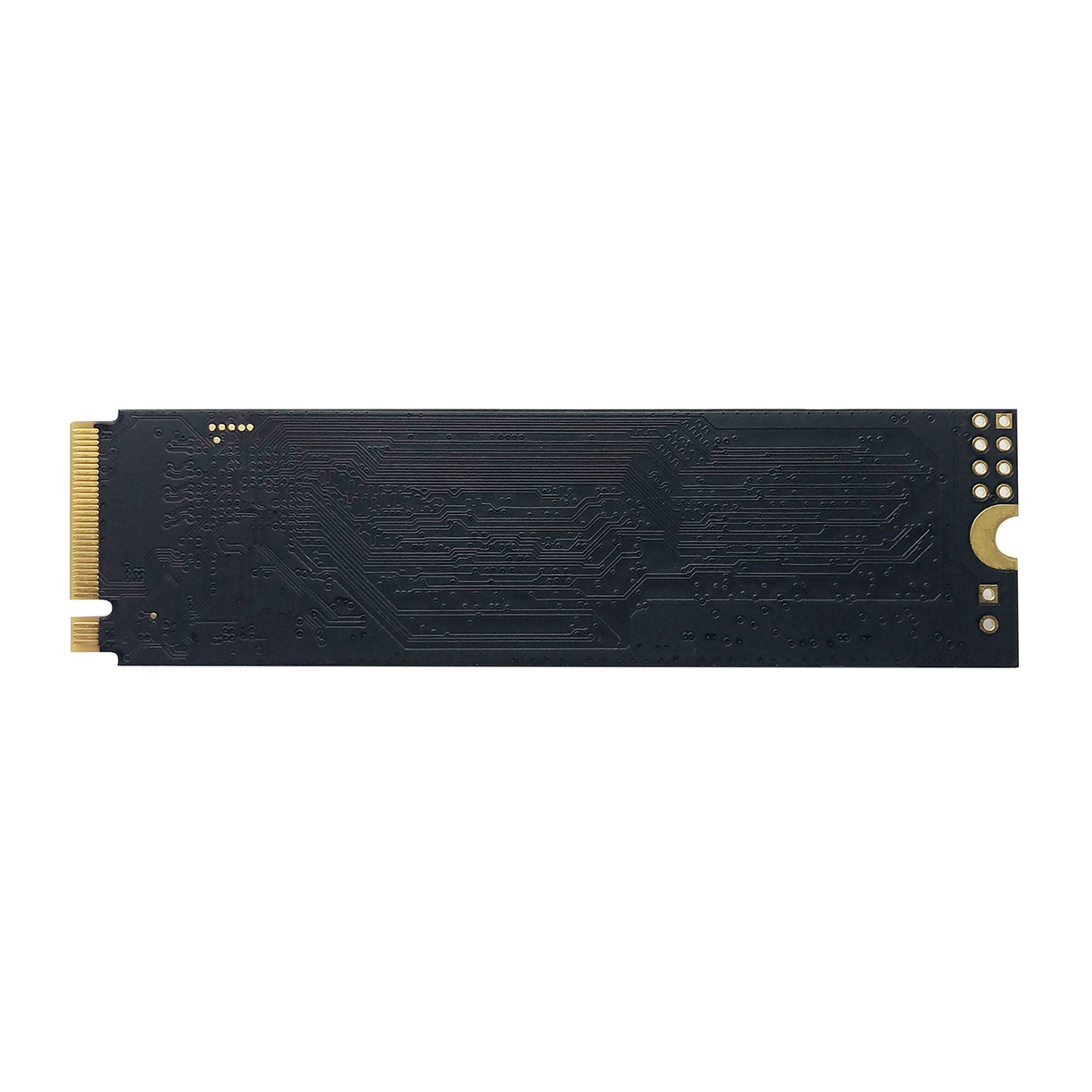 PATRIOT P310/ 960GB/ SSD/ M.2 NVMe/ 5R 