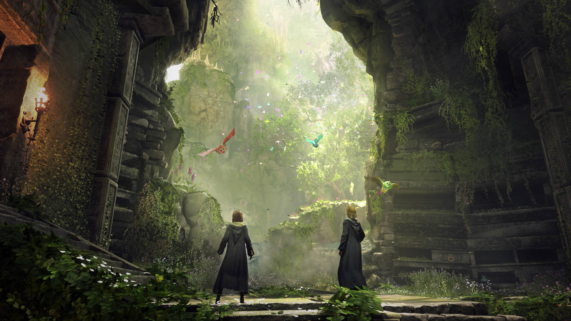 PS4 - Hogwarts Legacy 
