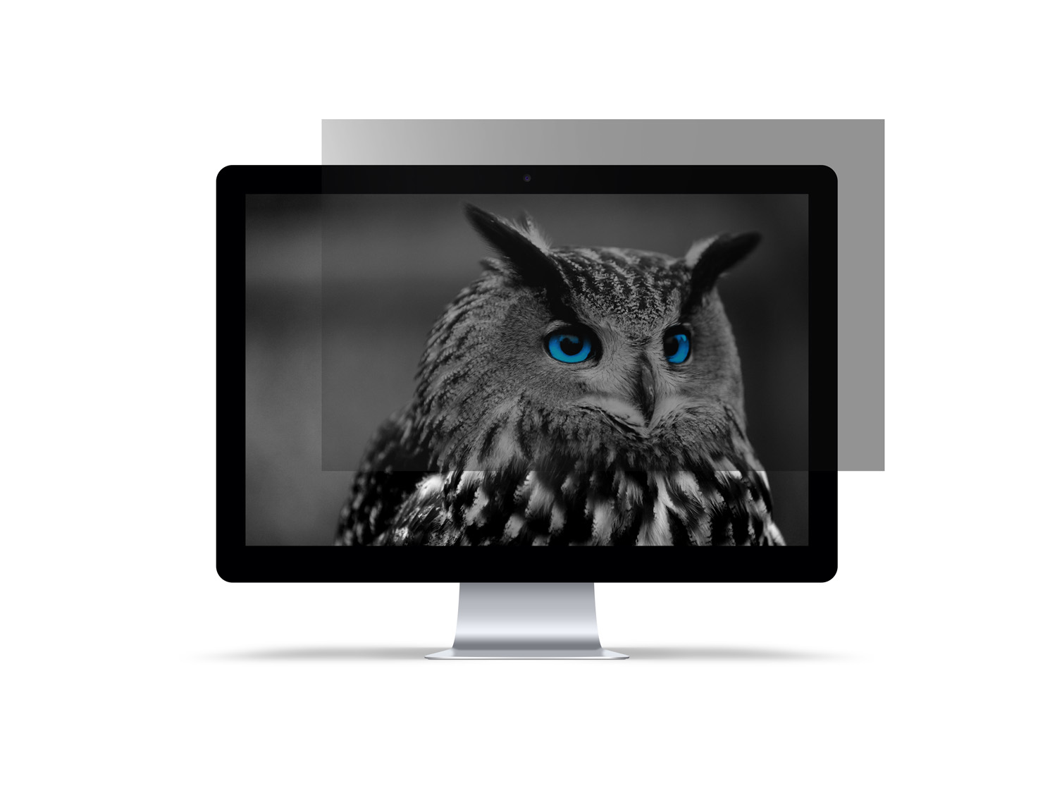 Privátny filter Natec Owl 27