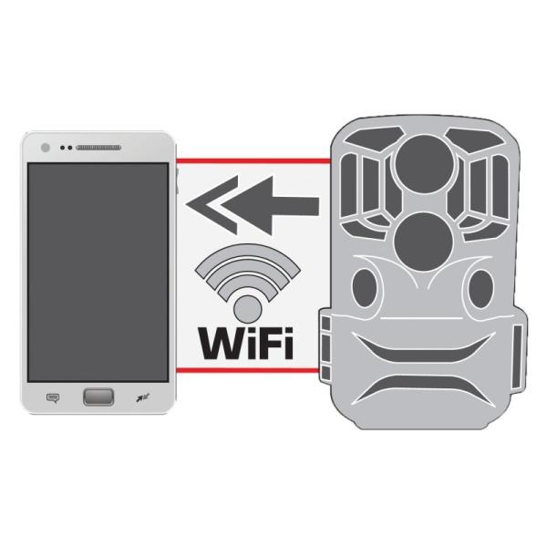 Braun ScoutingCam 800 WiFi fotopast4