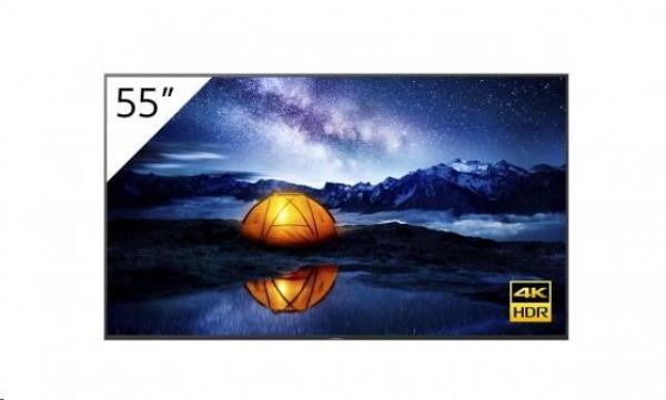 SONY 55"" 4K 24/ 7 Professional BRAVIA without Tuner,  HAZE