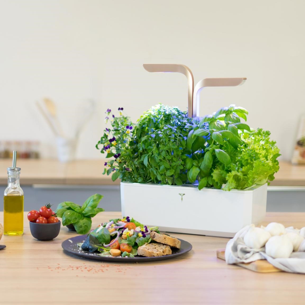 Véritable CONNECT - Smart automatický květináč s regulací osvětlení,  bílá-champagne + 4 bylinkové náplně1 