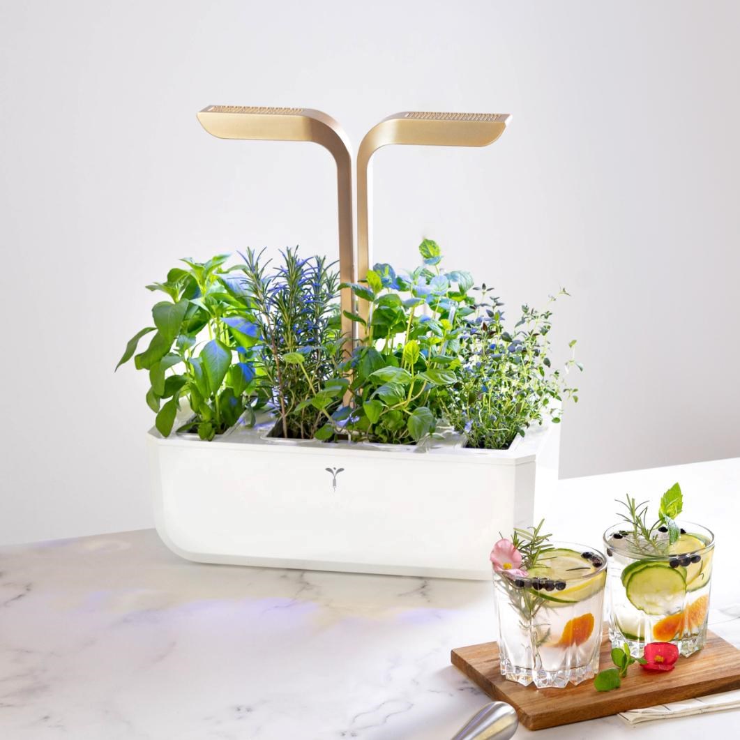 Véritable CONNECT - Smart automatický květináč s regulací osvětlení,  bílá-champagne + 4 bylinkové náplně2 