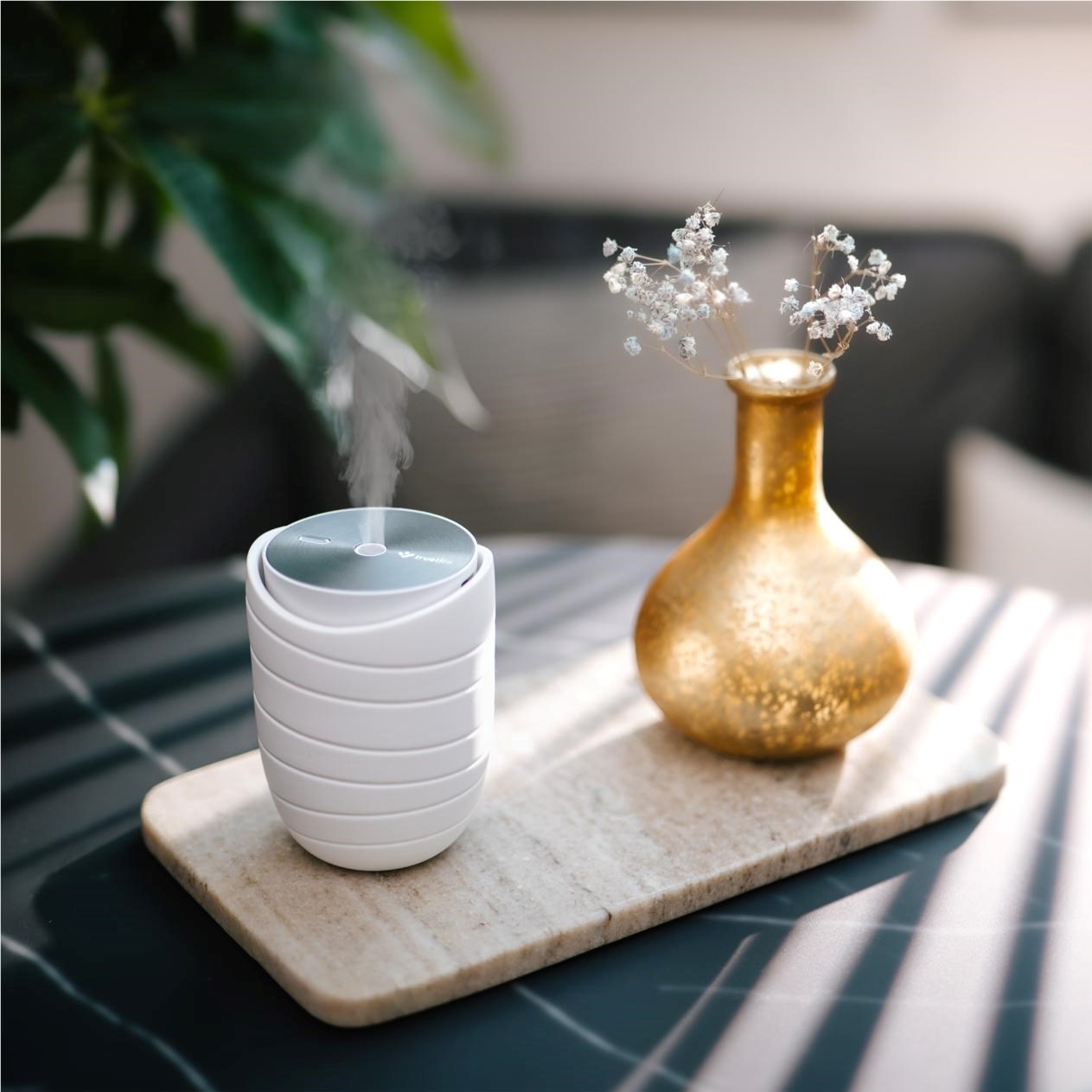 TrueLife AIR Diffuser WL54 