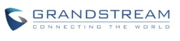 Grandstream RFID 125kHz Card - bundle 100 ks