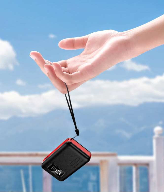 VIKING go10 10000mAh10 