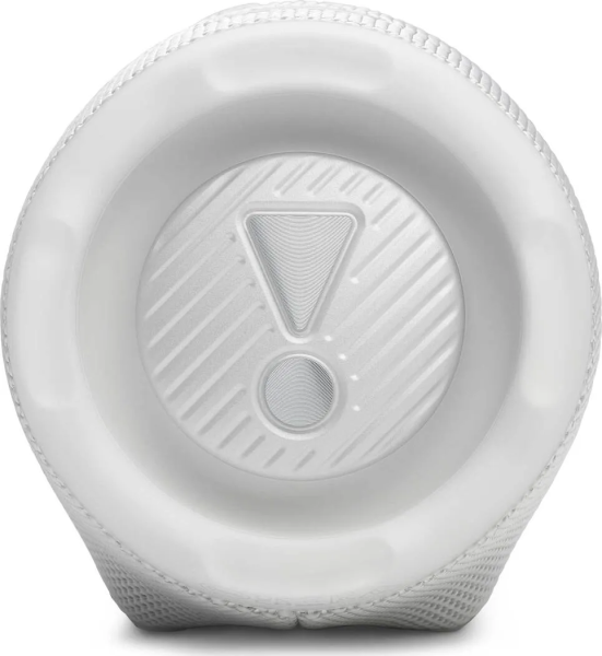 JBL Charge 6 White5