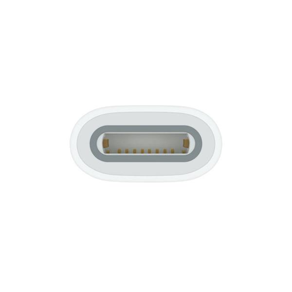 USB-C to Apple Pencil Adapter 