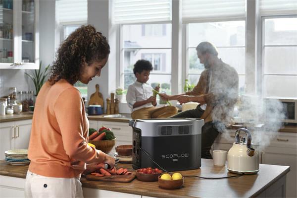 EcoFlow DELTA 2 Max 