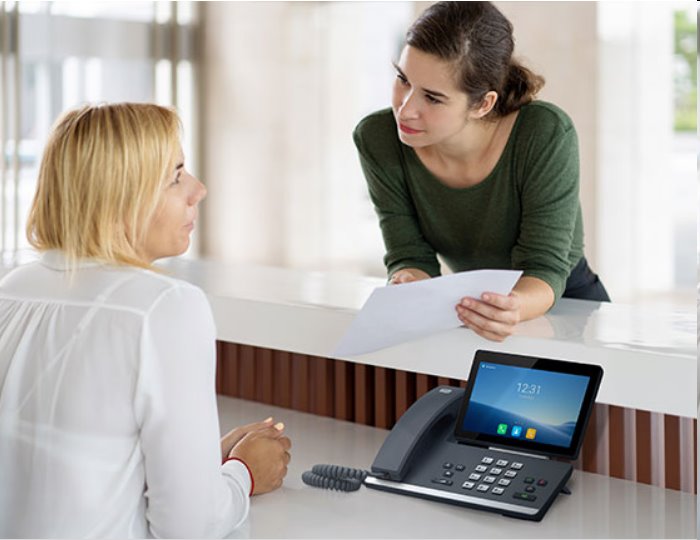 2N® IP Phone D7A 